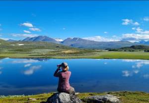 Πρόγραμμα Fjällgås : Η Προσπάθεια Διάσωσης της Χήνας με Λευκό Μέτωπο!