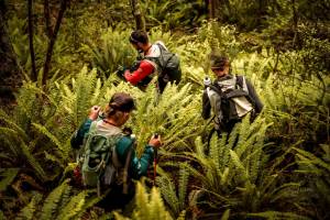 Photo copyright: Guillermo Gutierrez