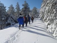 Τρέξτε στο χιόνι με ασφάλεια