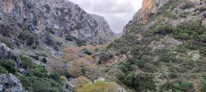 14ος Αγώνας Ορεινού Τρεξίματος 'ΣΑΜΑΡΙΑ' &amp; 4ος Αγώνας Ορεινού Τρεξίματος 'ΟΜΑΛΟΣ RUN'!