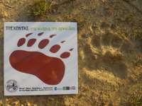 Video: Fifth Element Advance Weekend