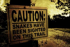 "Ο καταραμένος Όφις" !