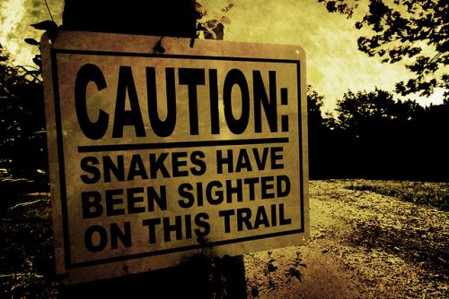 "Ο καταραμένος Όφις" !