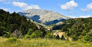 Φόρμα εγγραφής αγώνων - Προπονητικό camp!