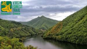 Νέα σελίδα για τους Αγώνες Βουνού Παρθένου Δάσους Παρανεστίου, V.F.T