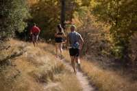 Άθλος Μαινάλου: Μεταγωνιστικό δελτίο τύπου - αποτελέσματα