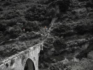 Μεταγωνιστικό ΔΤ - αποτελέσματα του 6ου "Δρόμου στα Μονοπάτια της Κνωσού &amp; του Γιούχτα"