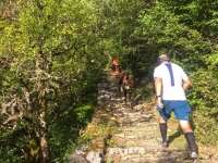 Αγαπημένο Ζαγόρι!