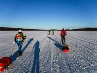 Τρεις έλληνες σέρνουν τα έλκηθρά τους στον αρκτικό κύκλο!
