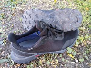 SALOMON ALPHACROSS GTX®: Αδιάβροχο, αντιολισθητικό και με πολύ καλή αντικραδασμικότητα για καθημερινά τρεξίματα και πεζοπορίες!