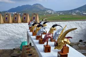 Tinos Challenge: Μεταγωνιστικό Δελτίο Τύπου