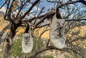 Η ώρα του αποχωρισμού …