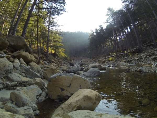 Ultra Ursa Trail 2018: Και οι Πέντε ήταν Υπέροχες!