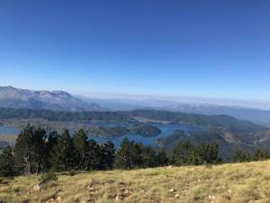 Η αρκούδα της καρδιάς μας!