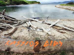 12ος Κάσσιος Δίας: Μεταγωνιστικό Δελτίο Τύπου!