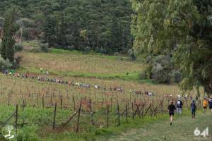 Κοιν.Σ.Επ ΔΙΑΒΑ: Ομπλός, Χελμός και Ύδρα: Αναδρομή και οι νέες προκλήσεις, σε μια συζήτηση με τον Δημήτρη Αποστολόπουλο!