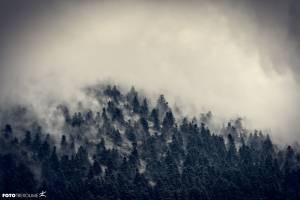 Προκήρυξη αγώνα Ζήρειας 2019!